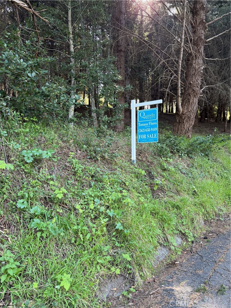 767 Spring Road