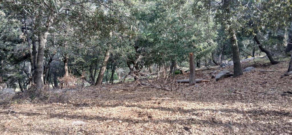 0 Alder Creek Road