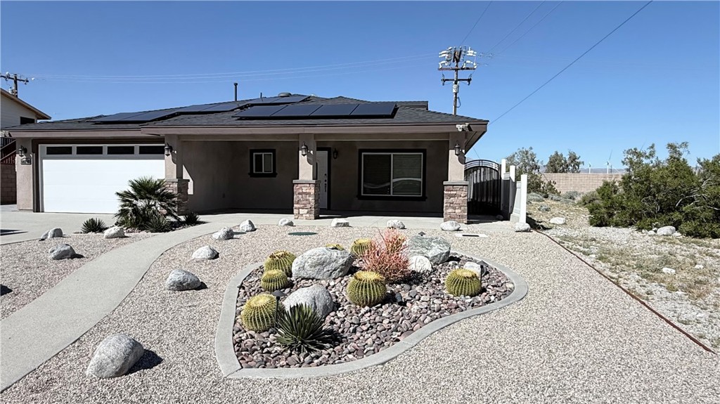 60242 Palm Oasis