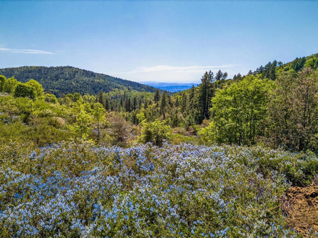 200 +/- Acres Palomar Divide Truck Trail