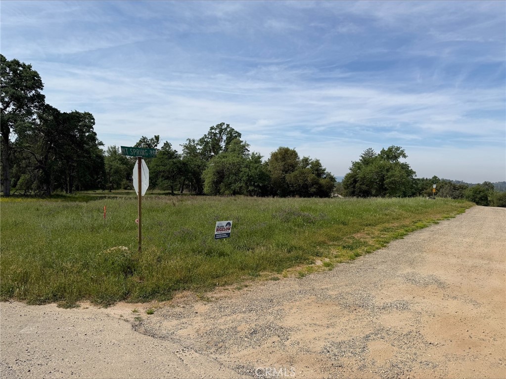 5 Acres Mountain Springs Road