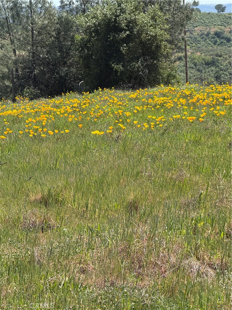 0 Round Valley Ranch Road