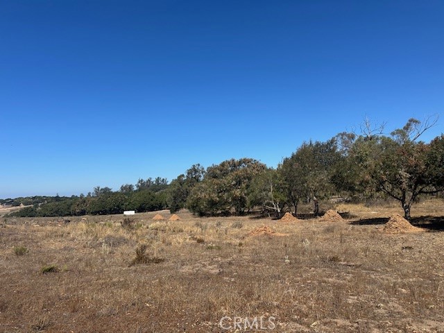 1990 Tularosa Road