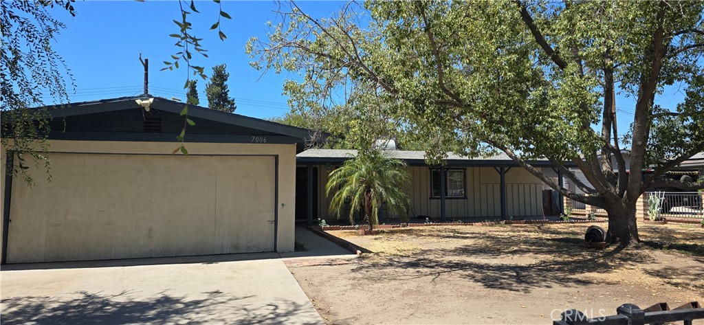 7006 Elm