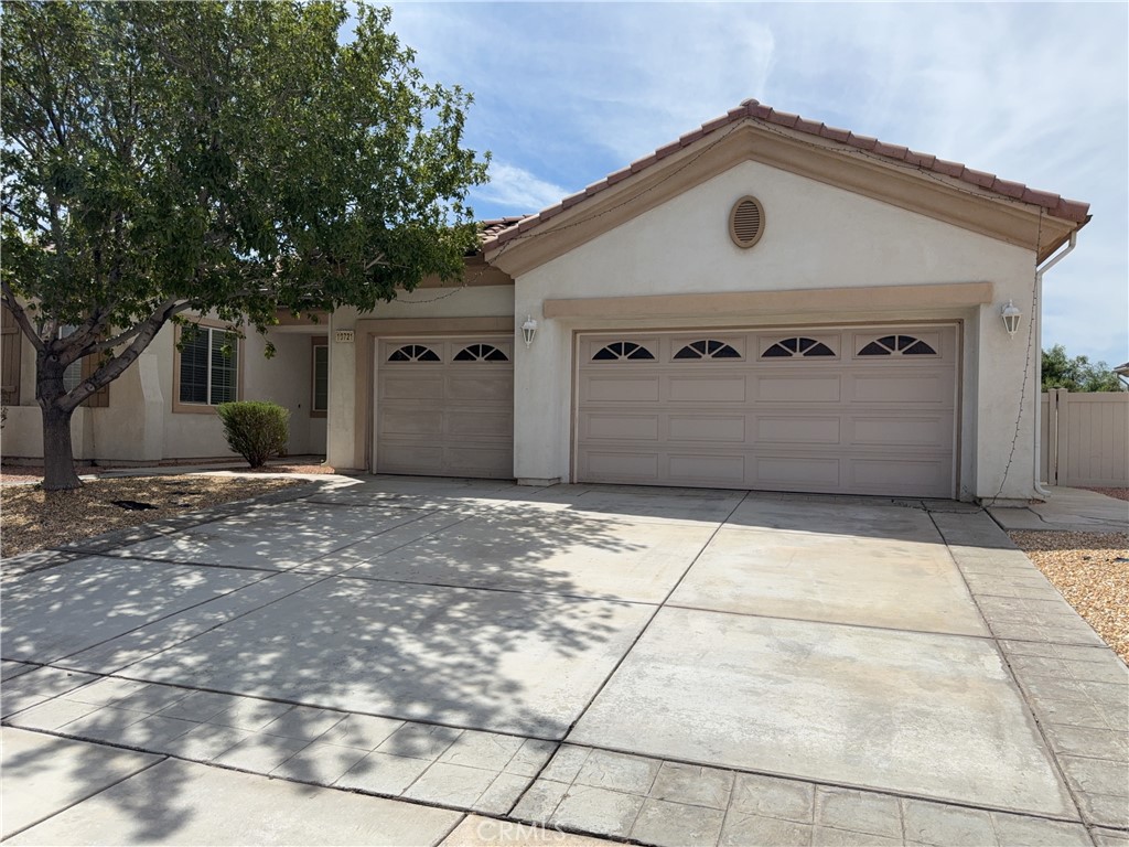19721 Chicory Court