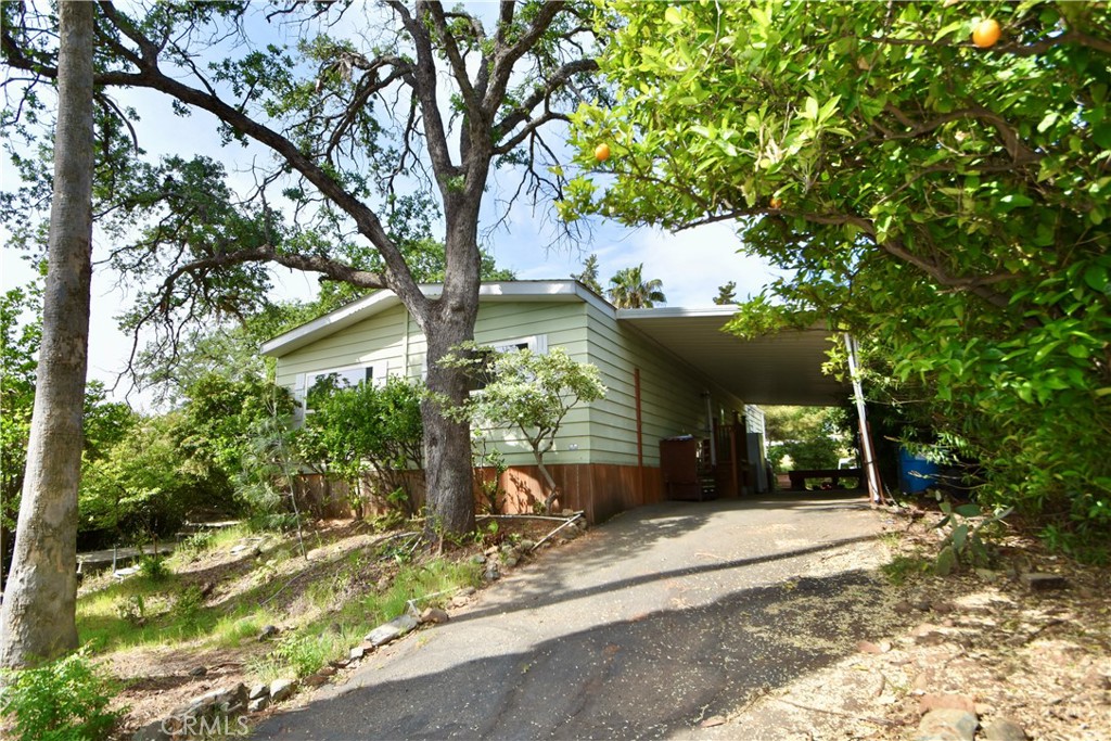 67 Montrose