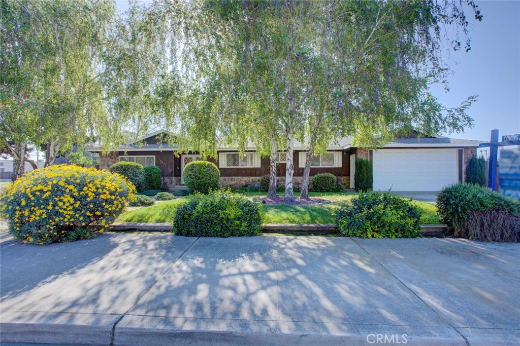 16067 Acacia