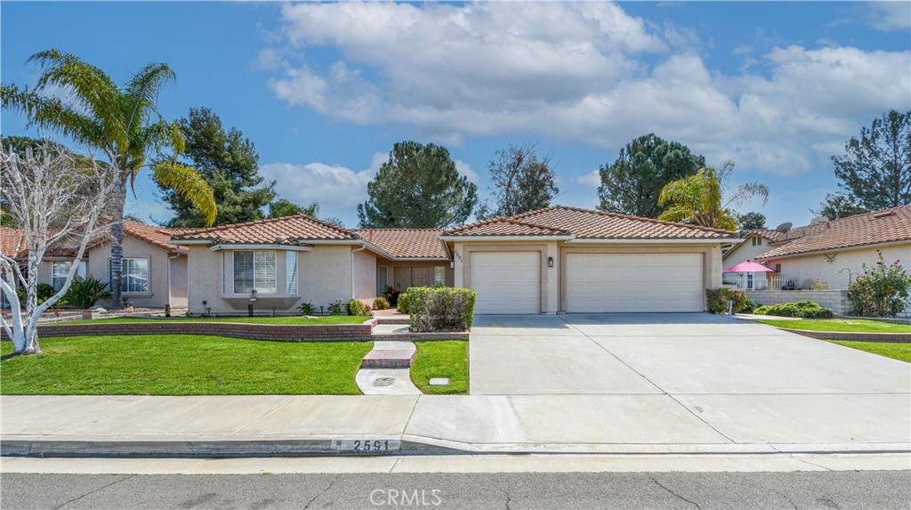 2591 Peach Tree