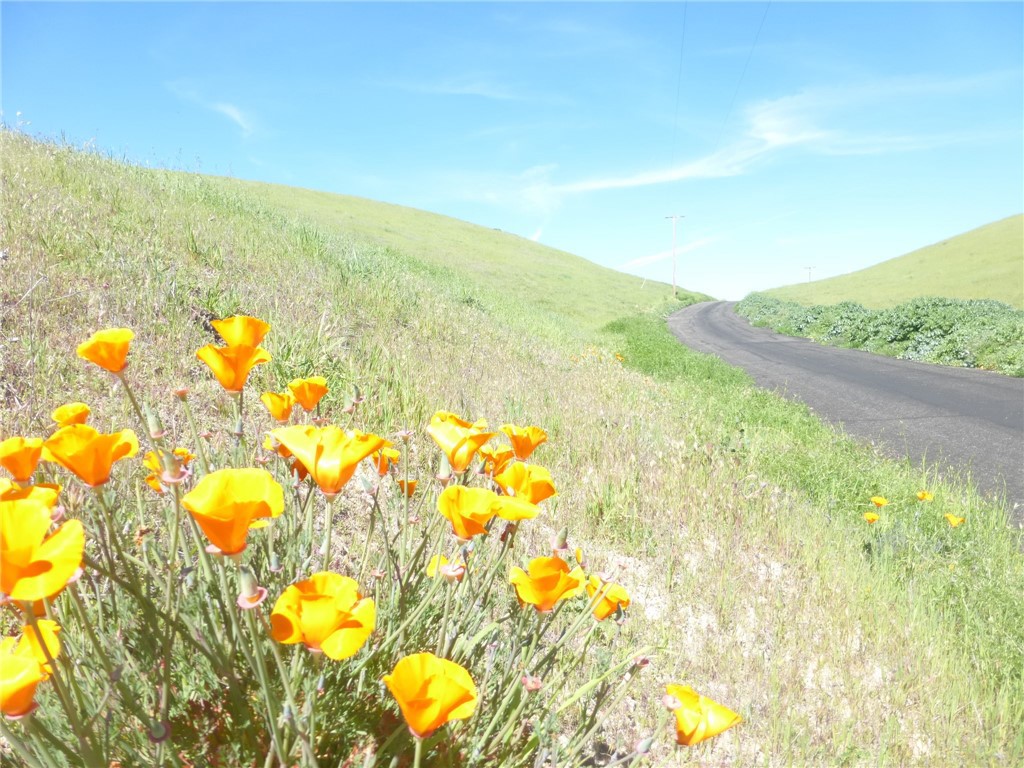 0 Douglas Rd. (Lot 28)