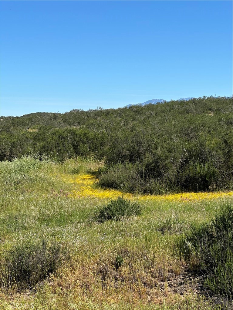 0 Sage & Red Mountain Road