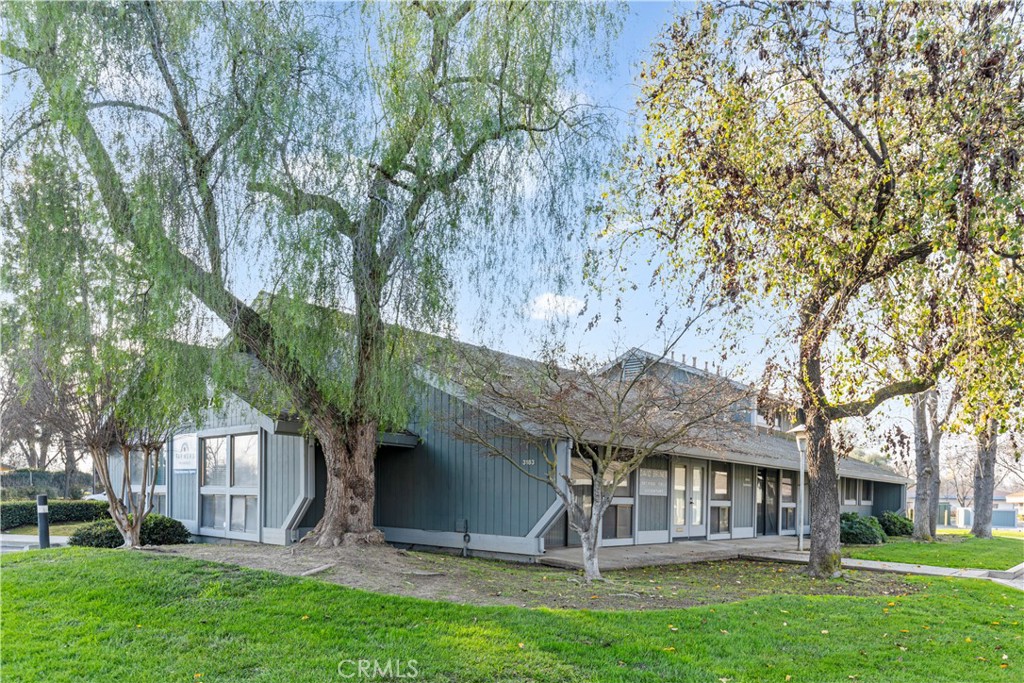 3183 Collins