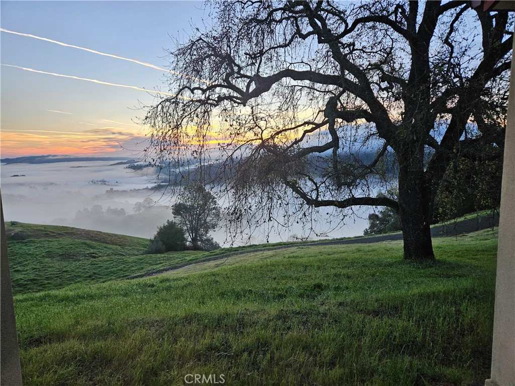 1115 Cypress Mountain Drive