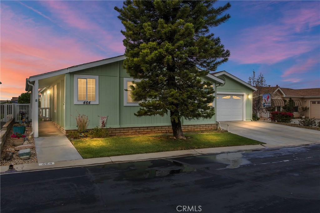 10961 Desert Lawn, 464 (Plum)