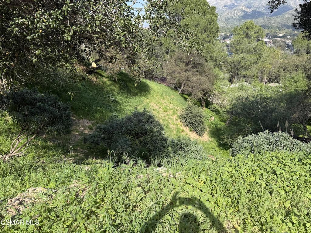 Flora Morgan Trail
