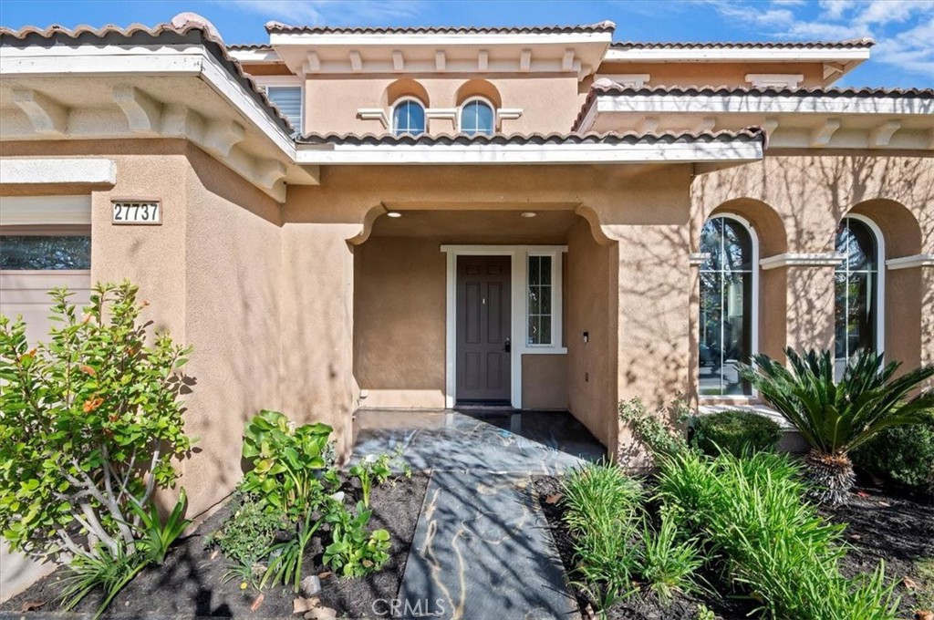 27737 Hackberry