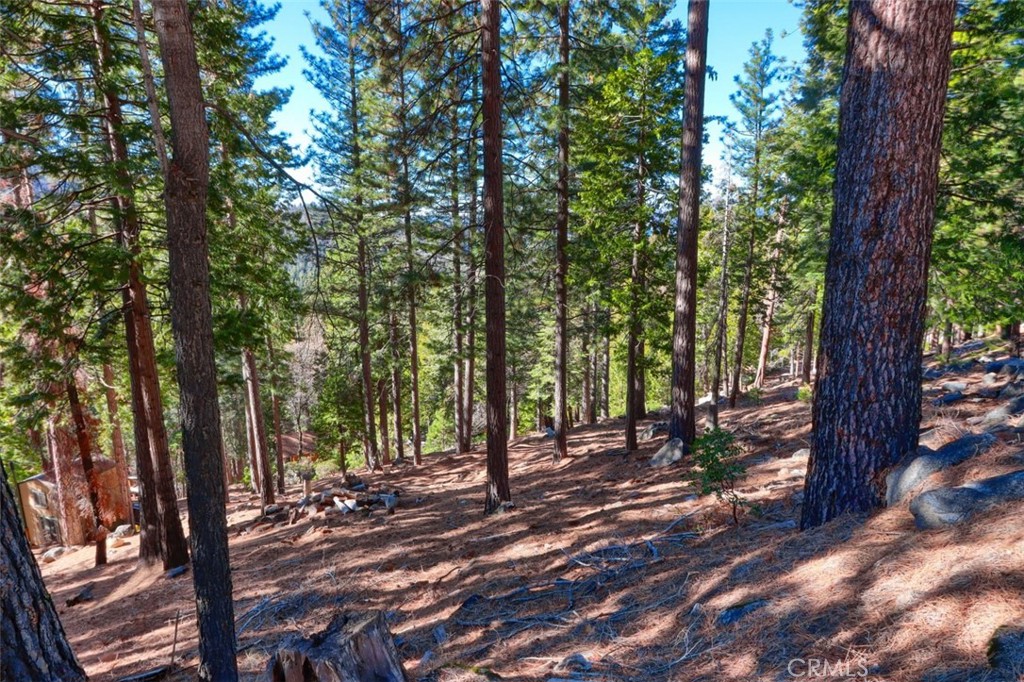 7349 & 7473 Yosemite Park Way