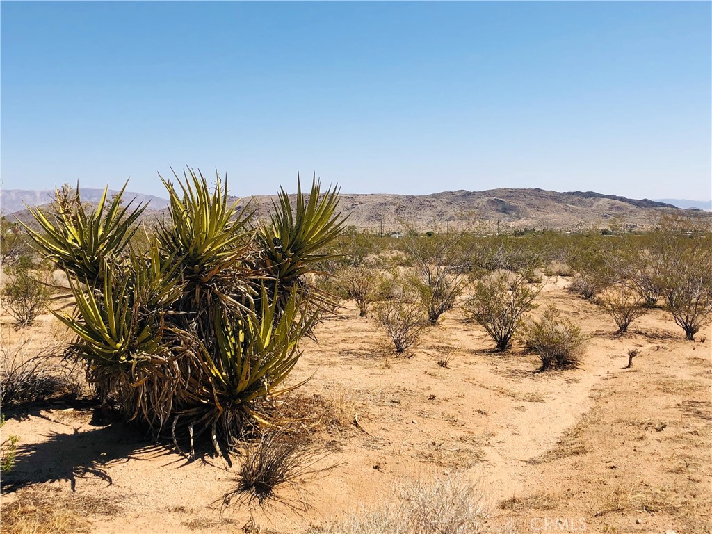 2 Geronimo Trail