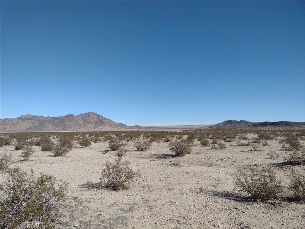25 Dune (near) Road