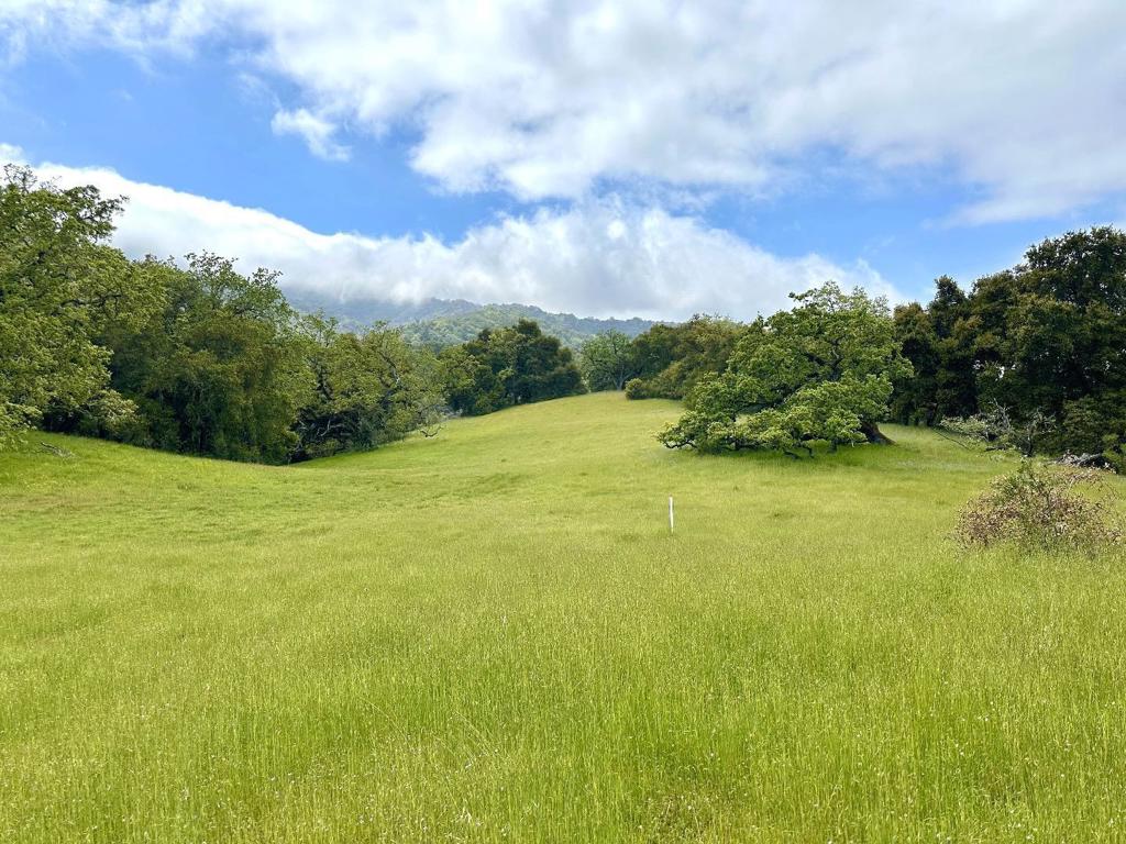 29 Arroyo Sequoia