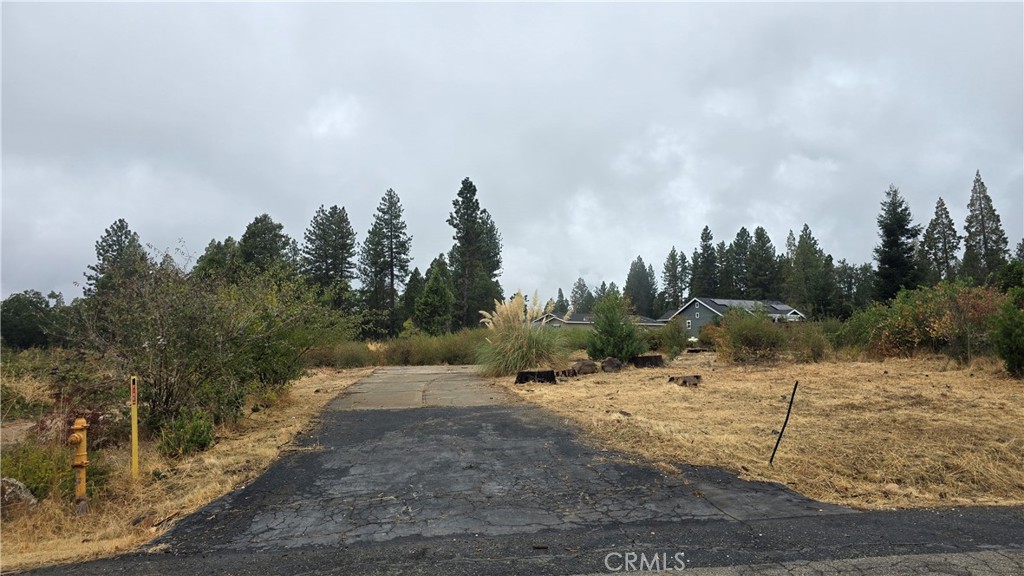 6167 Ponderosa