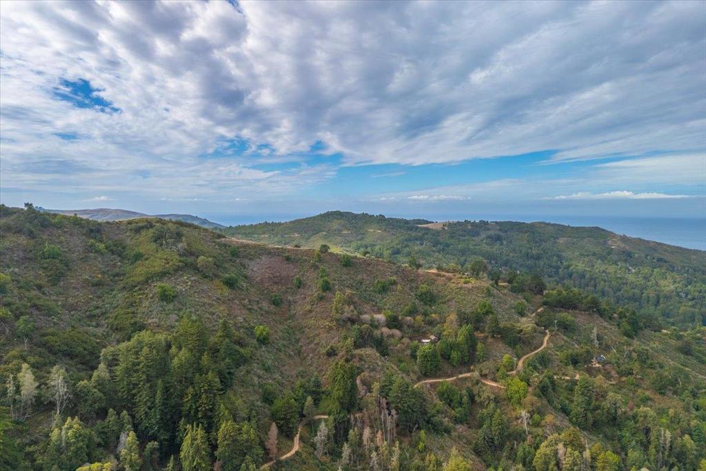 Garrapatos Redwoods Trail