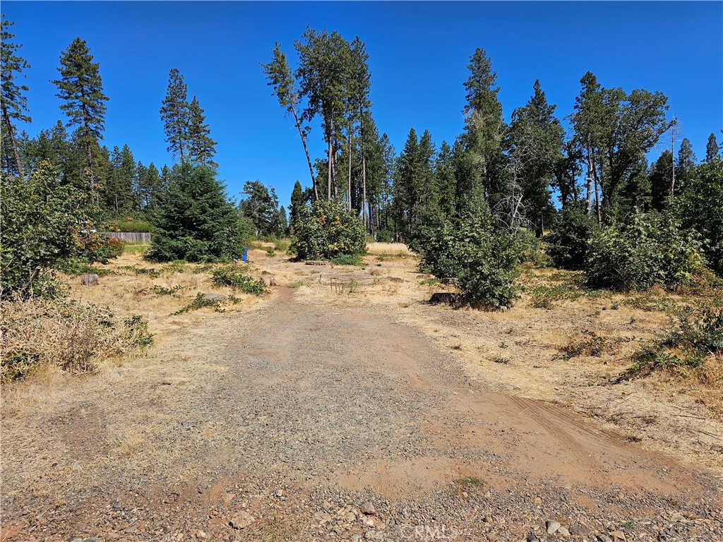 1533 Forest Service Rd