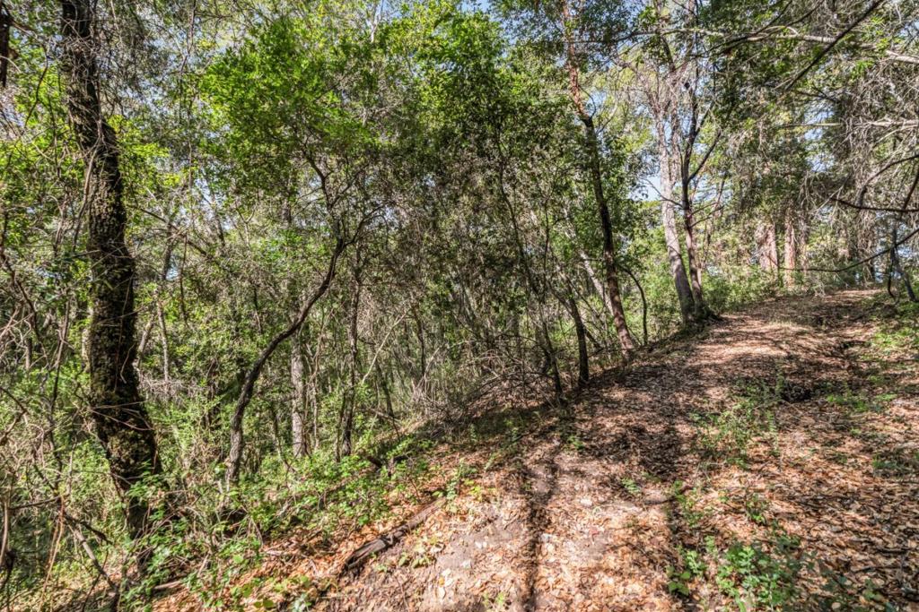 Madrone Avenue