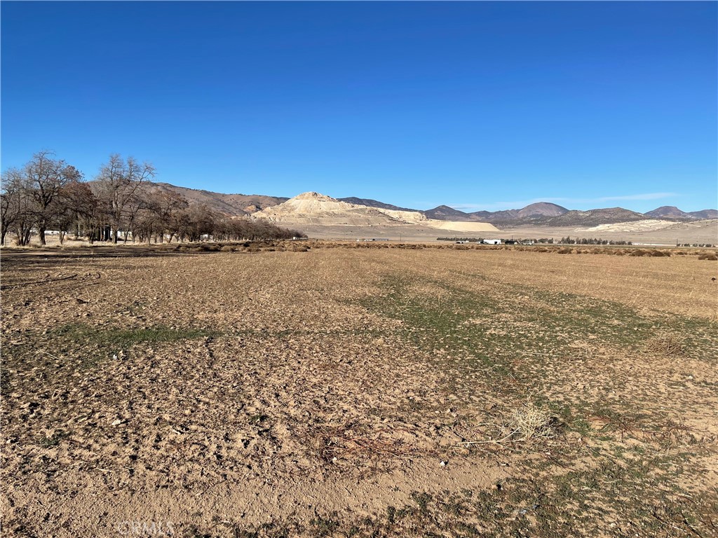 20028 Tehachapi Willow Springs Rd