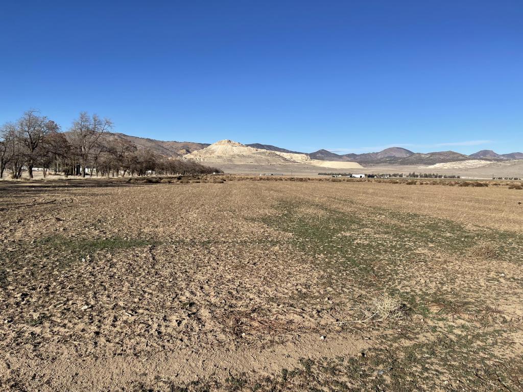20028 Tehachapi Willow Springs Road