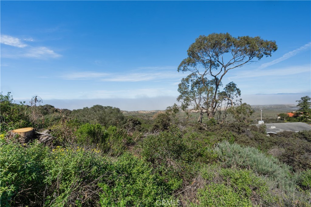 0 Pecho Valley Rd