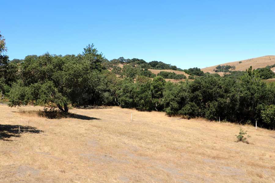 3 Ohlone Trace