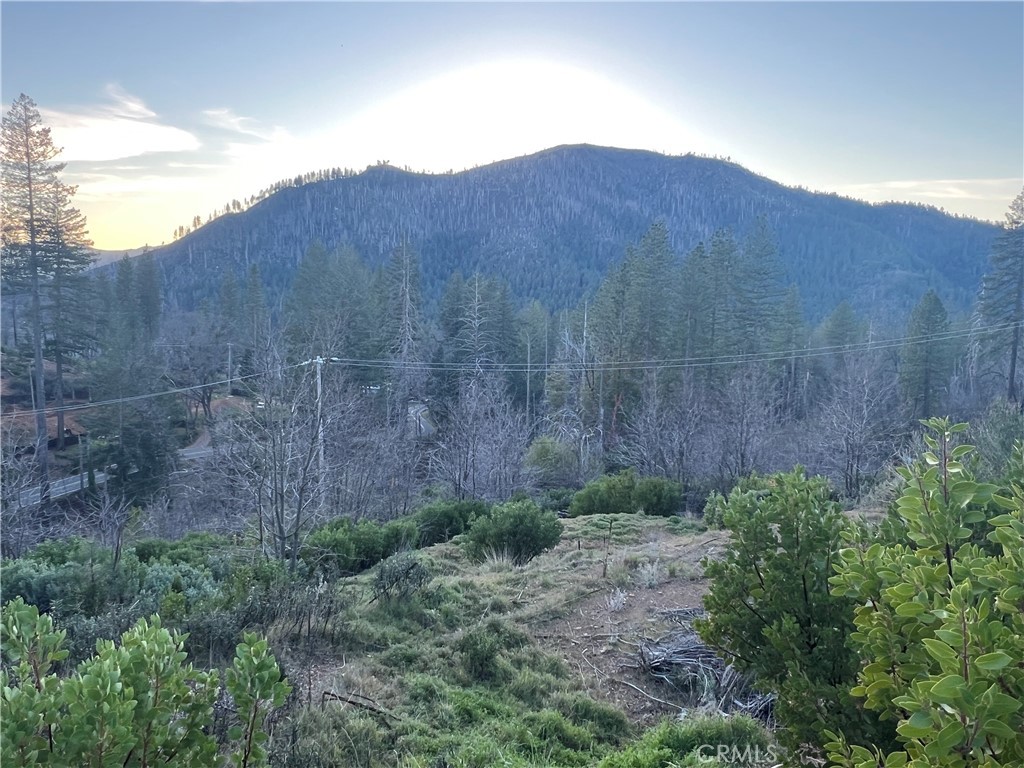 16709 Starview Loop