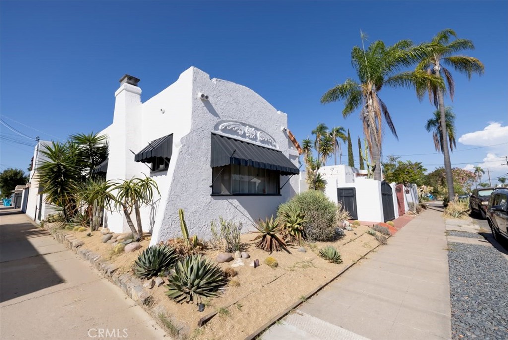 3226 Palm