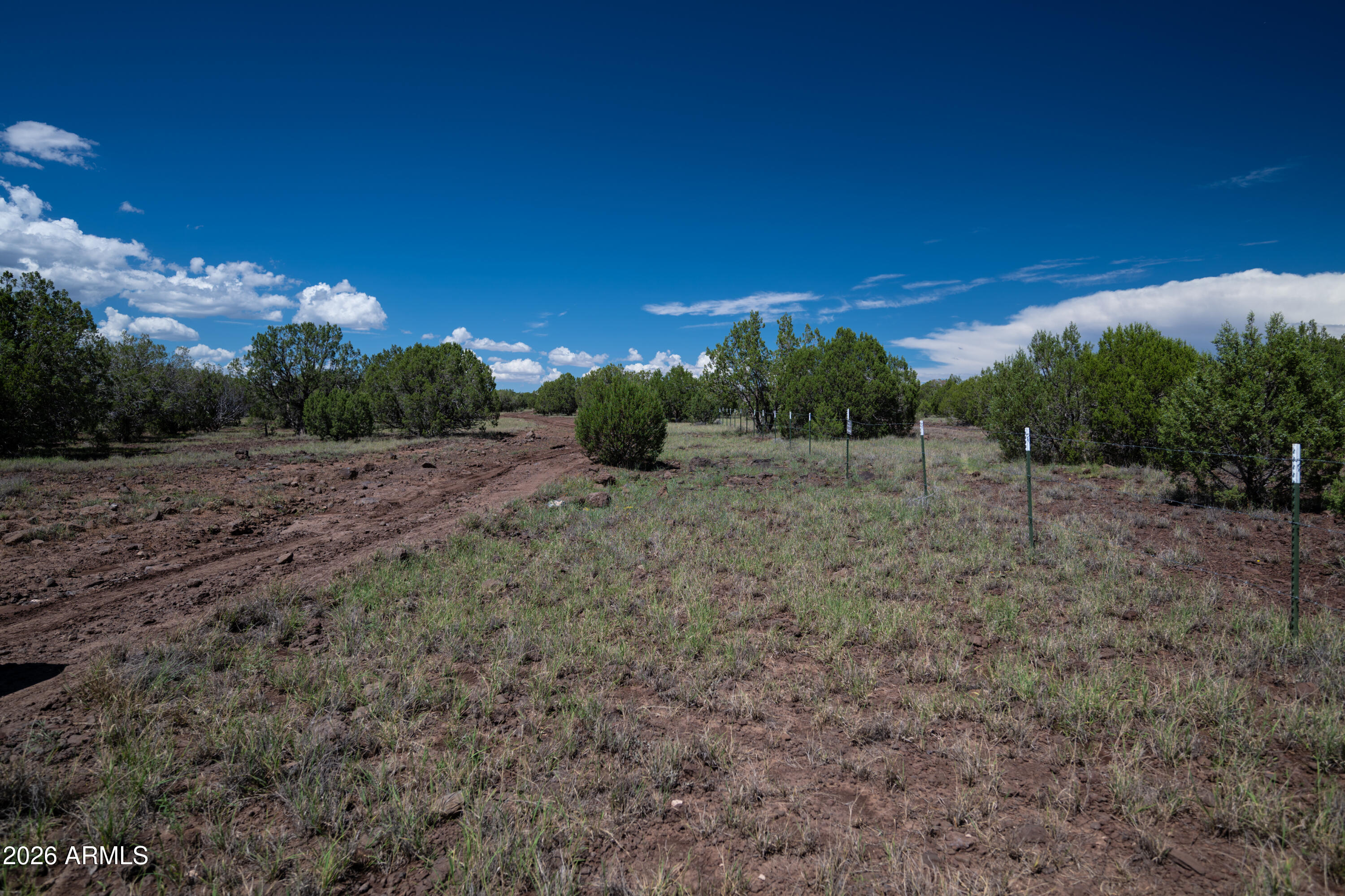 2945 MURIEL Drive, Williams, AZ 86046