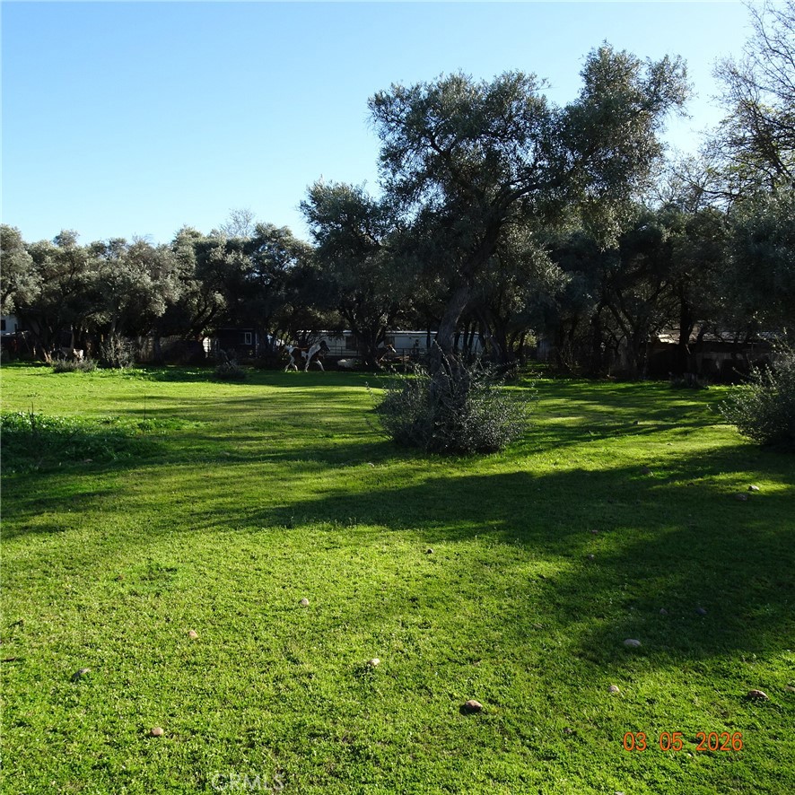 2549 Palermo Road