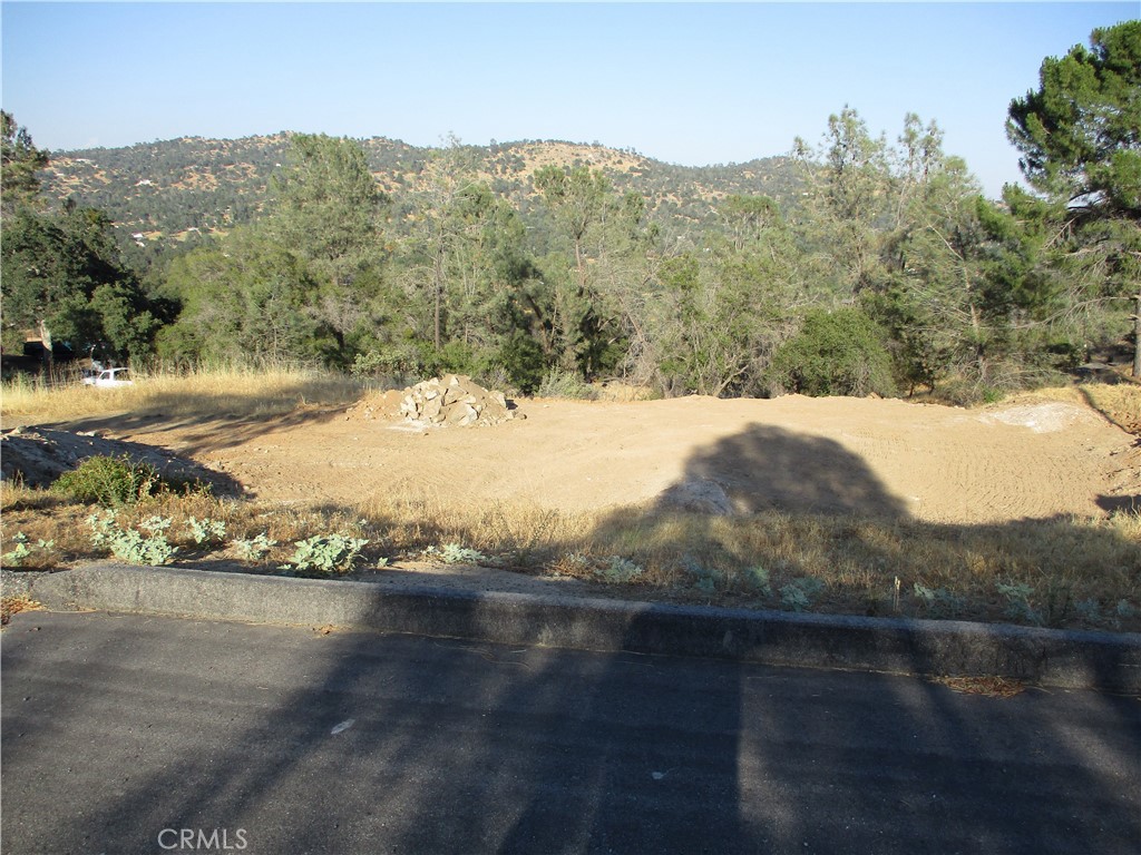 42112 Colt Way