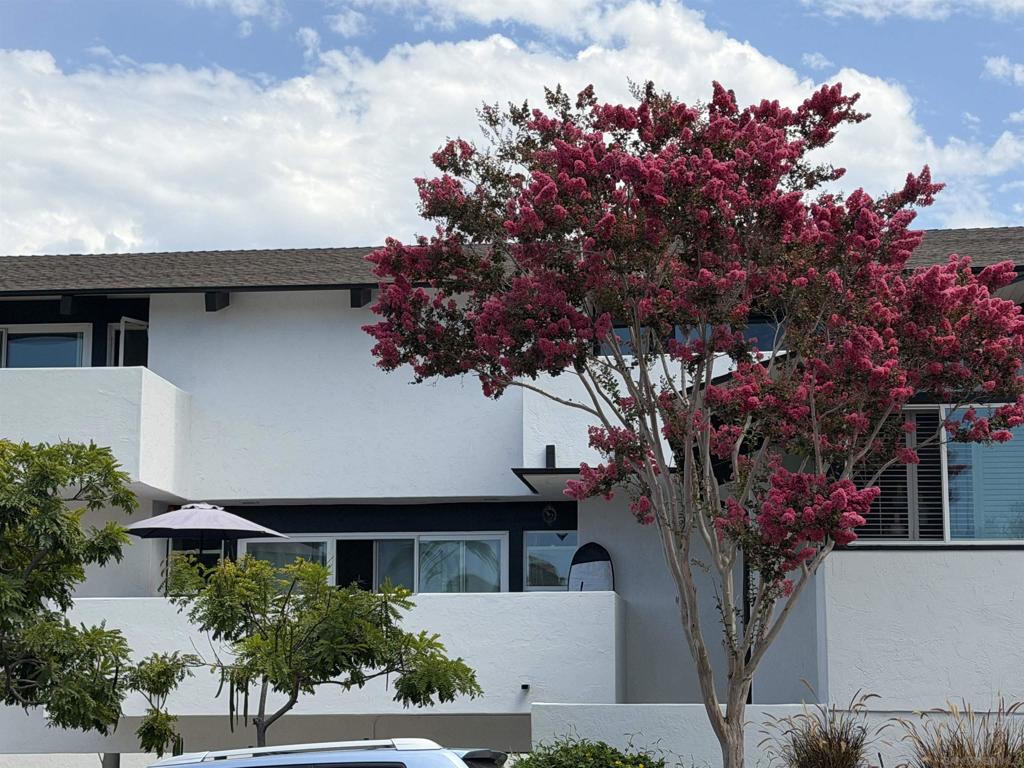 7512 Viejo Castilla 17