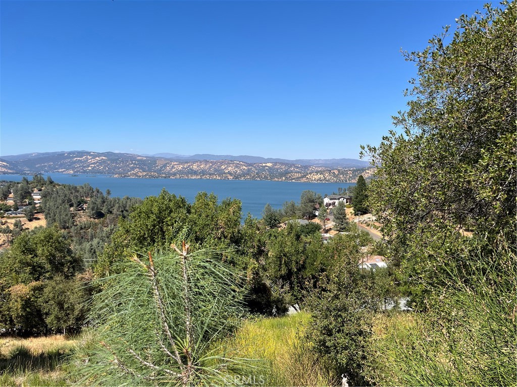 10009 Point Lakeview Road