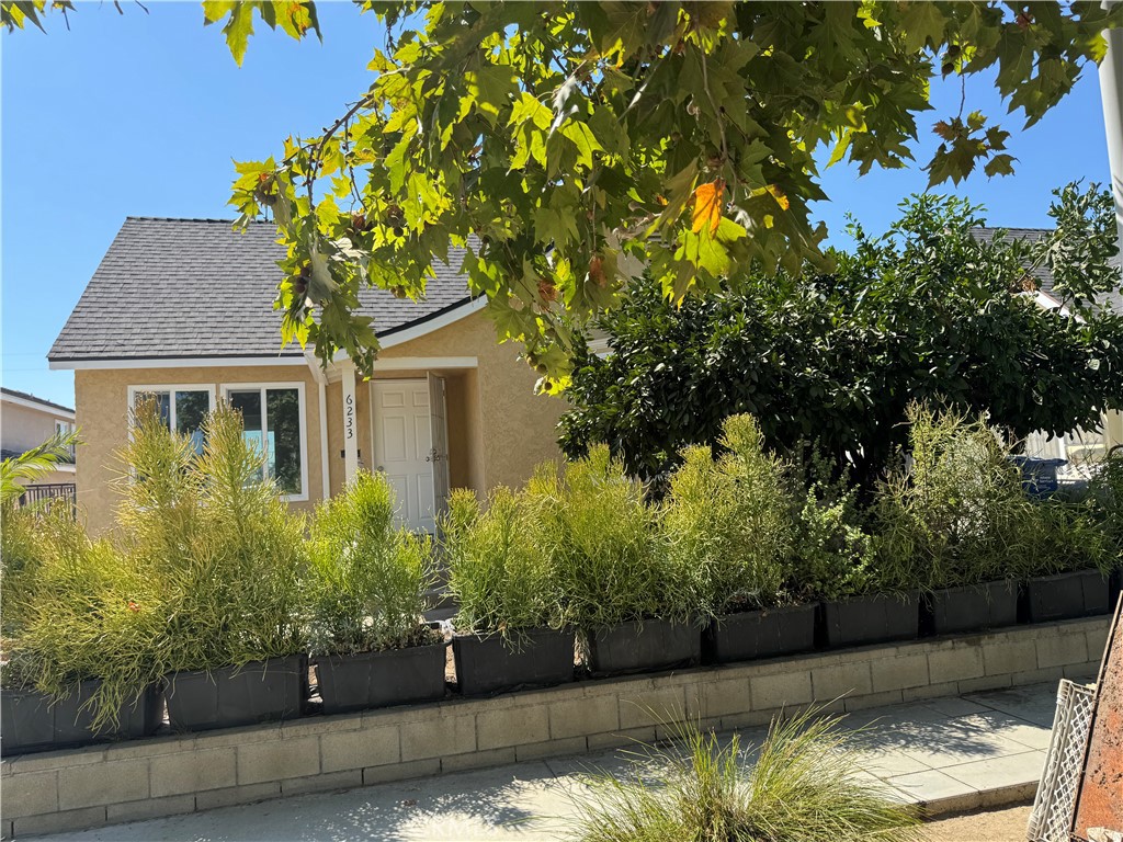 6233 Rosemead