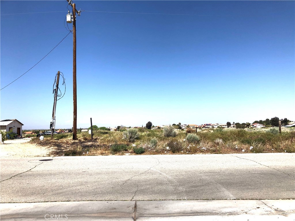 0 Palomino Ct/Cor E Ave S-12