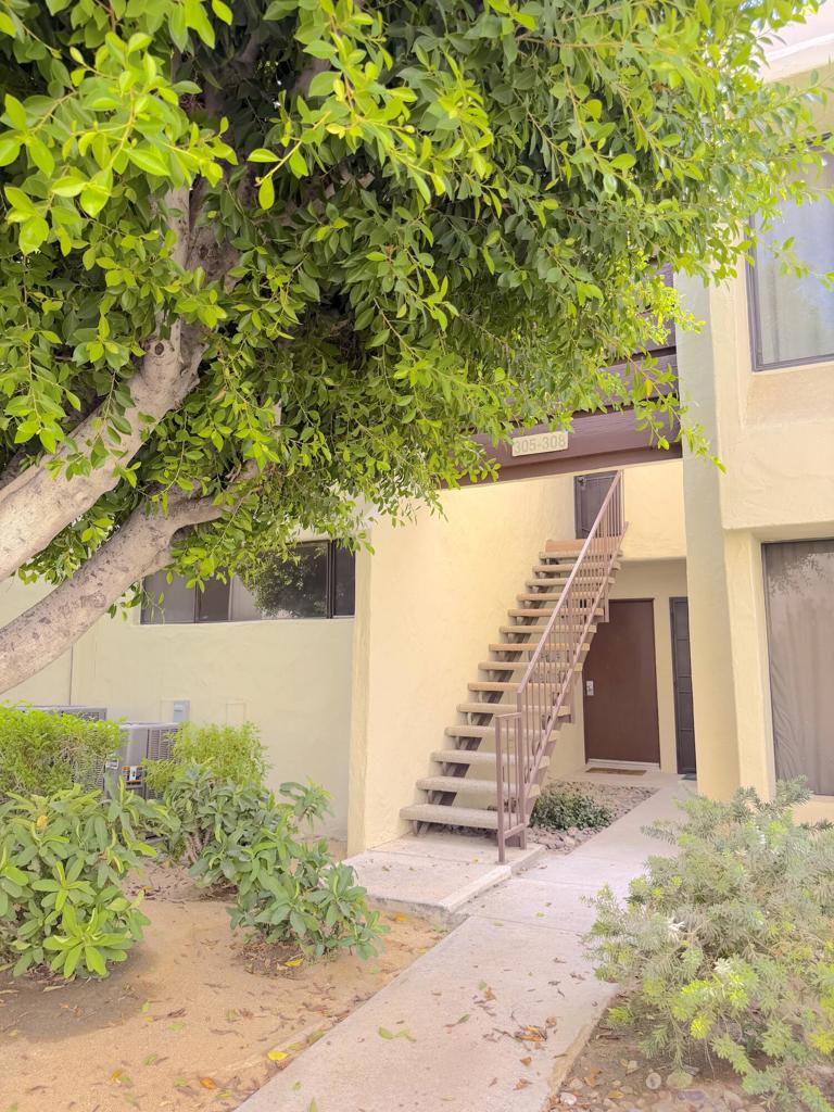 1655 E Palm Canyon Drive 307