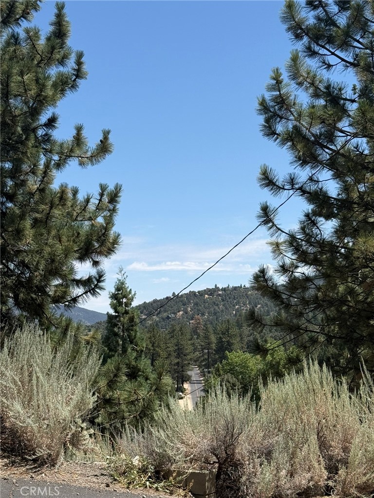 2413 Cedarwood Drive