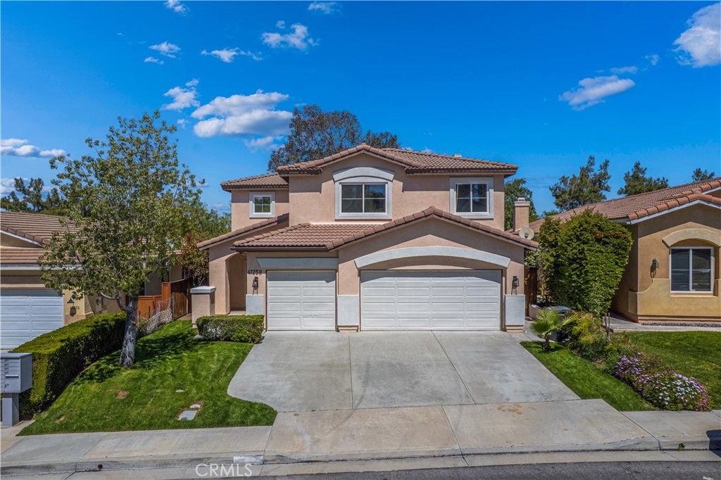 41258 Pine Tree