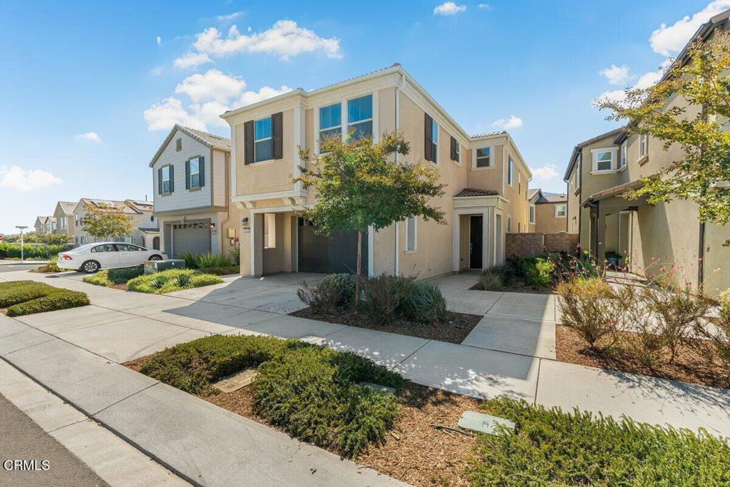 1994 Pomegranate Street