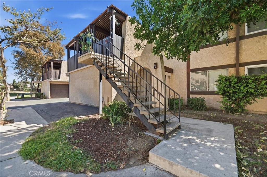 12241 Carnation D