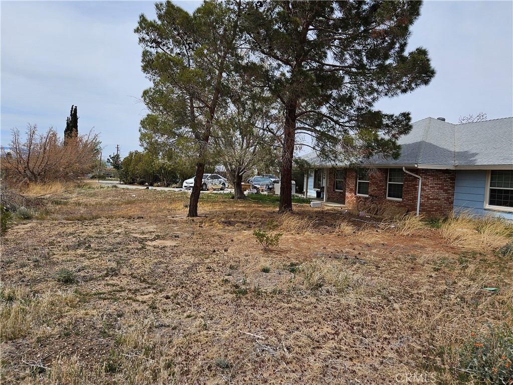 11175 Tyee Road
