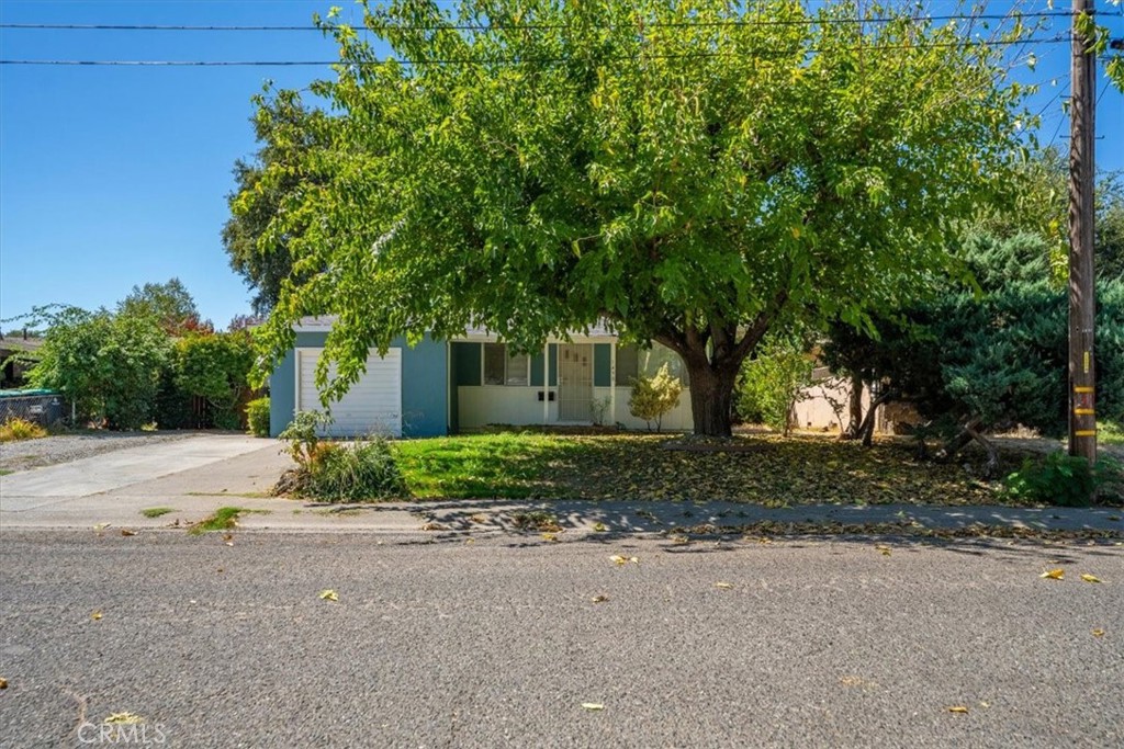 1490 Orange Street
