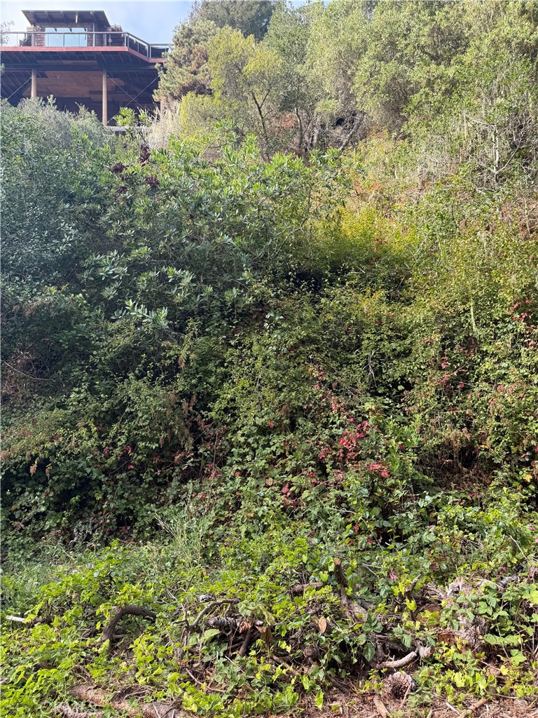 0 Sheffield