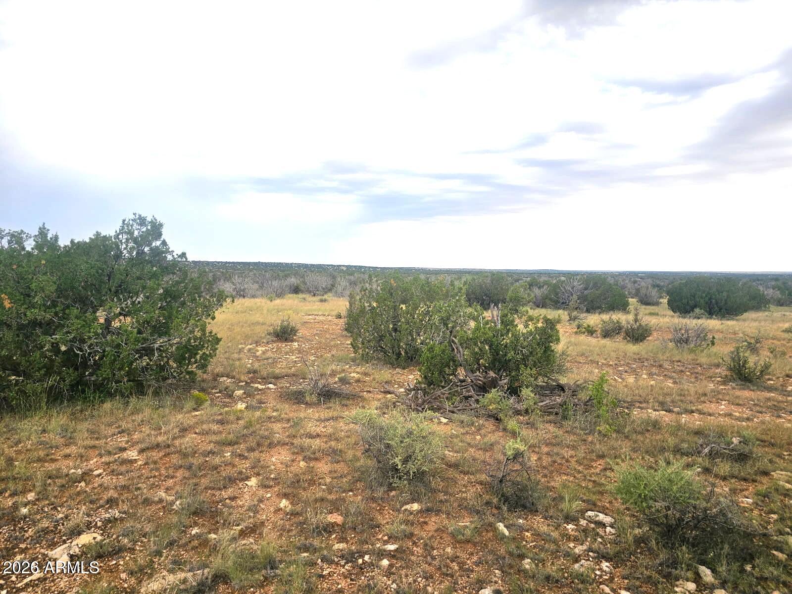 5075 SIDLYN Road -, Heber, AZ 85928