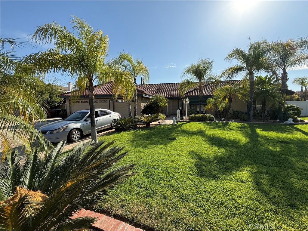 11551 Knoll Vista